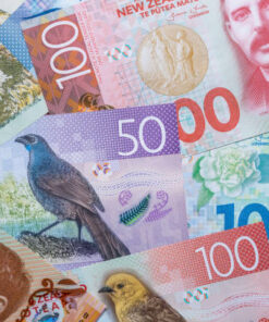 Counterfeit NZD Dollar